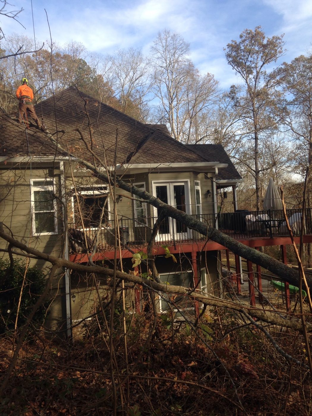 Storm-damaged tree over a house