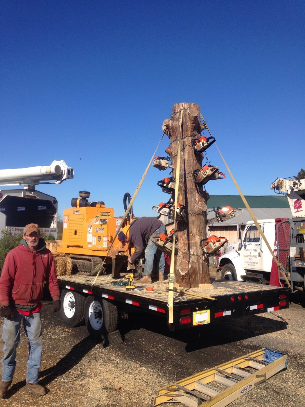 Hauling a large trunk section